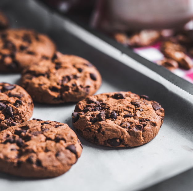 克菲尔风味发酵乳发酵粉
